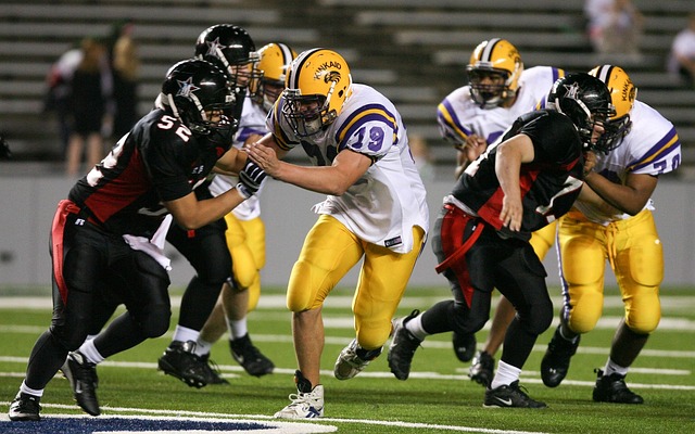 都是力与美 都是力与美