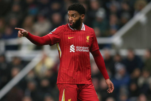 无疑是家喻 无疑是家喻