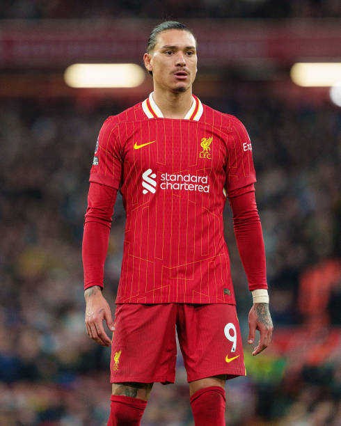 供了更多的 供了更多的